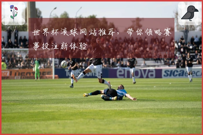 世界杯滚球网站推荐,带你领略赛事投注新体验