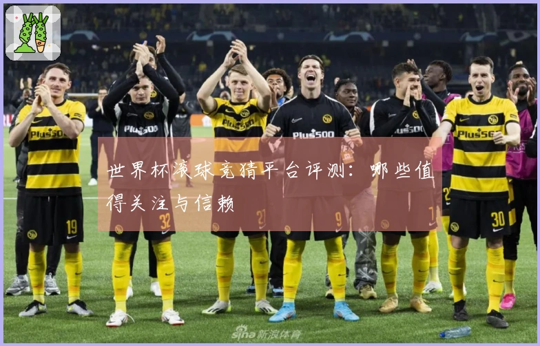 世界杯滚球竞猜平台评测：哪些值得关注与信赖