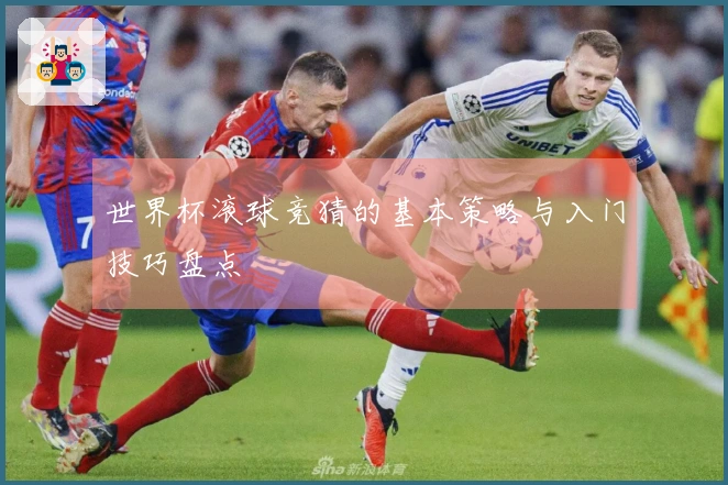 世界杯滚球竞猜的基本策略与入门技巧盘点