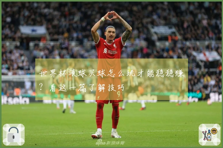 世界杯滚球买球怎么玩才能稳稳赚？看这一篇了解技巧