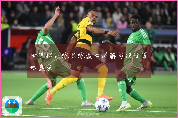 世界杯让球买球盘口详解与投注策略盘点