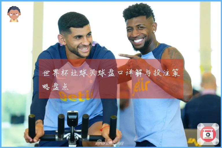 世界杯让球买球盘口详解与投注策略盘点