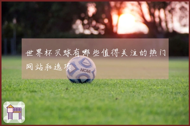 世界杯买球有哪些值得关注的热门网站和选项