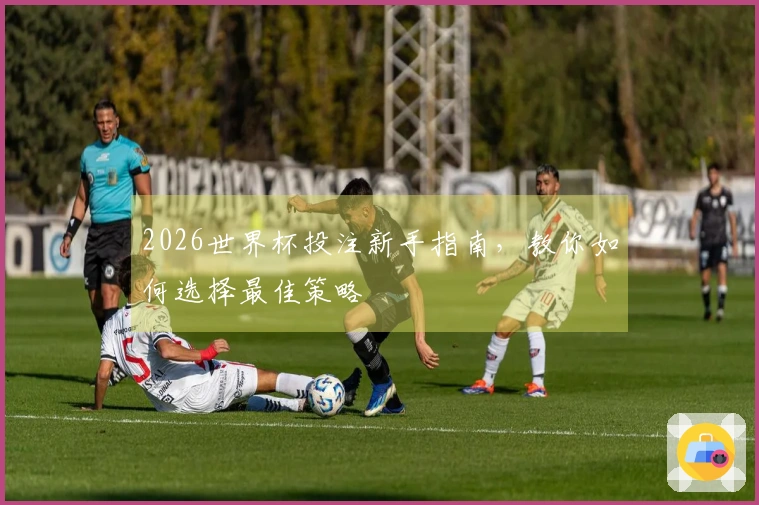 2026世界杯投注新手指南，教你如何选择最佳策略