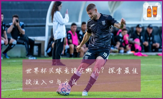 世界杯买球竞猜在哪儿？探索最佳投注入口与方式
