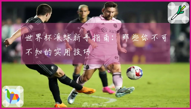 世界杯滚球新手指南：那些你不可不知的实用技巧