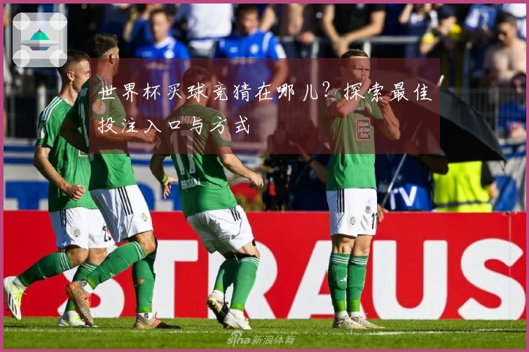 世界杯买球竞猜在哪儿？探索最佳投注入口与方式