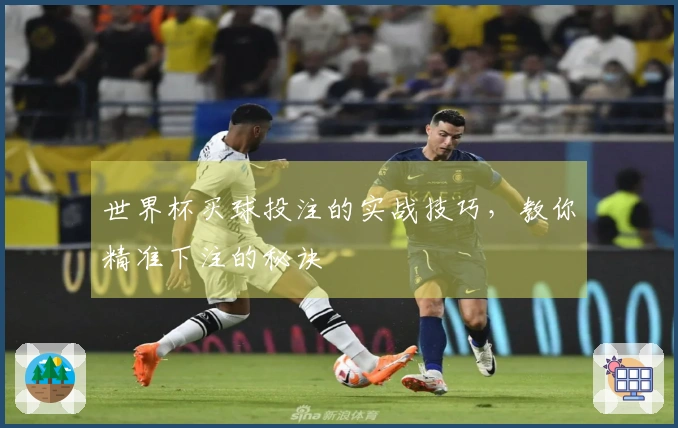 世界杯买球投注的实战技巧，教你精准下注的秘诀