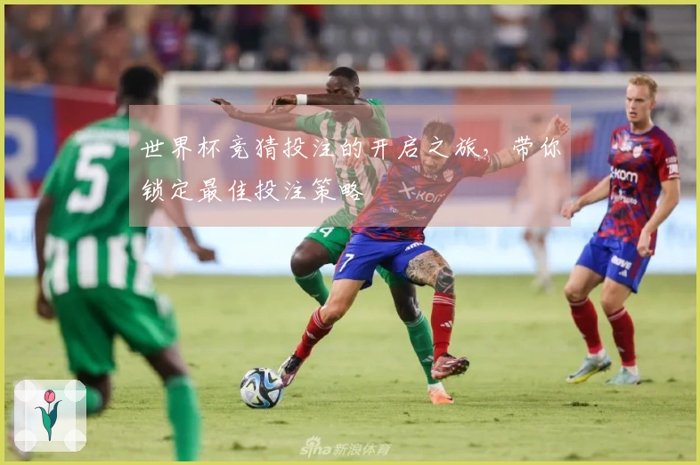 世界杯竞猜投注的开启之旅，带你锁定最佳投注策略