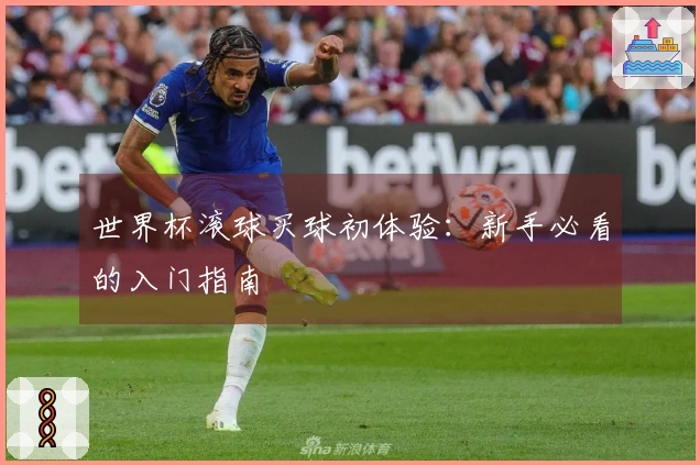 世界杯滚球买球初体验：新手必看的入门指南