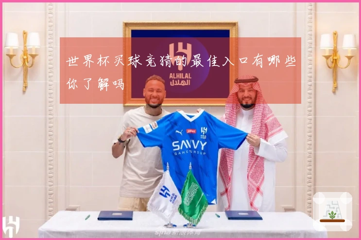 世界杯买球竞猜的最佳入口有哪些你了解吗