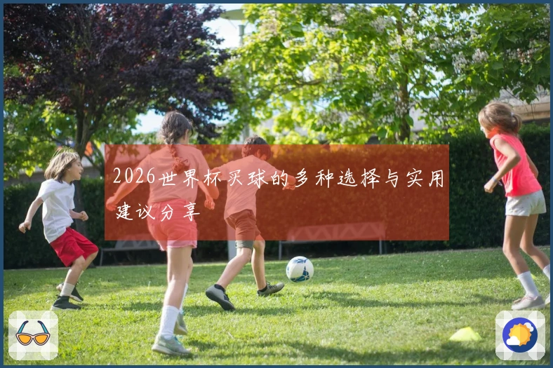 2026世界杯买球的多种选择与实用建议分享