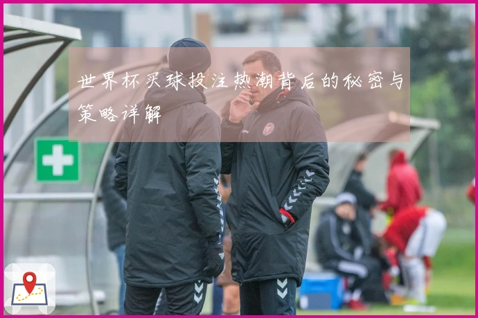 世界杯买球投注热潮背后的秘密与策略详解