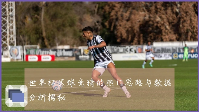 世界杯买球竞猜的热门思路与数据分析揭秘