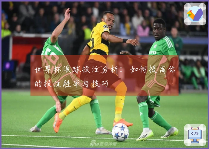 世界杯滚球投注分析：如何提高你的投注胜率与技巧