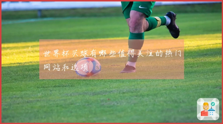 世界杯买球有哪些值得关注的热门网站和选项
