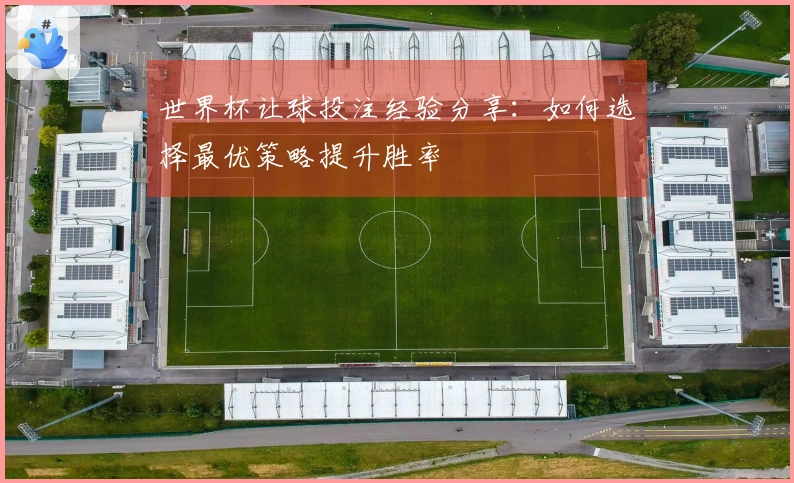 世界杯让球投注经验分享：如何选择最优策略提升胜率