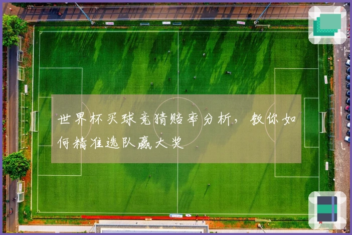 世界杯买球竞猜赔率分析，教你如何精准选队赢大奖