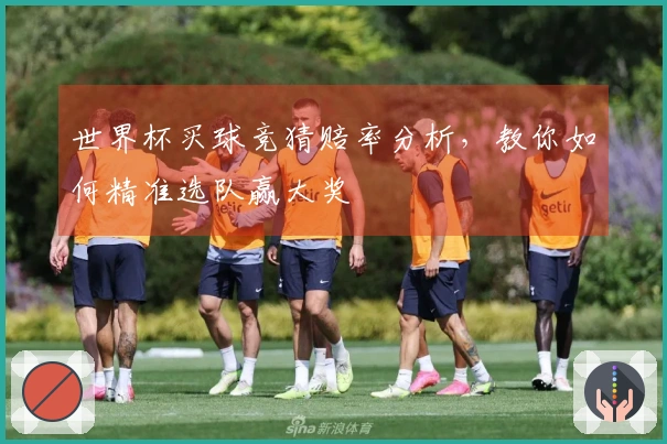 世界杯买球竞猜赔率分析,教你如何精准选队赢大奖